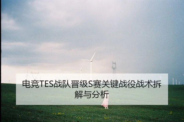 电竞TES战队晋级S赛关键战役战术拆解与分析